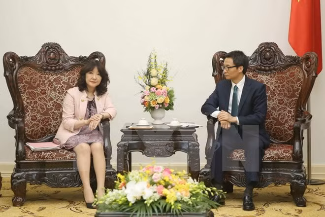 Vicepremier de Vietnam recibe a funcionaria del Partido Liberal Democrático de Japón ảnh 1