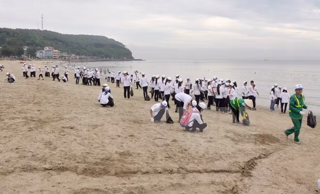 Vietnam enfrenta riesgo de desertificación del mar ảnh 1 Vietnam enfrenta riesgo de desertificación del mar ảnh 1