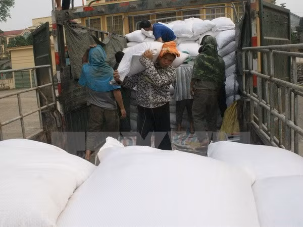 Asistencia urgente de dos mil toneladas de arroz a Binh Dinh ảnh 1
