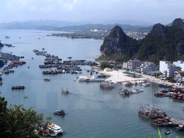 Aspira Portugal invertir en infraestructura y economía marítima en Vietnam ảnh 1