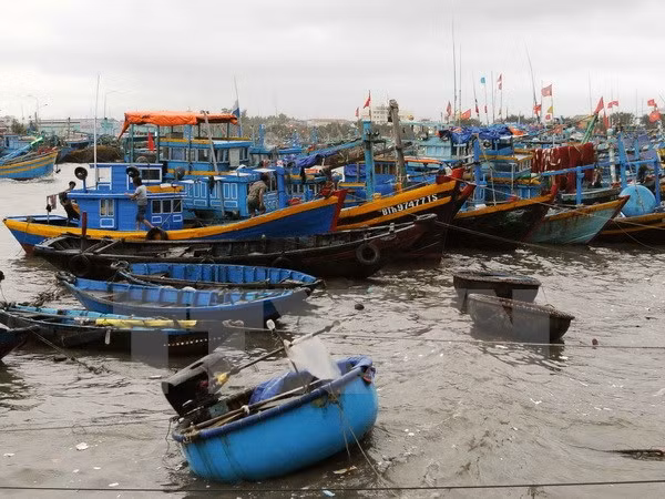 Pescadores decididos a aferrarse al mar ảnh 1