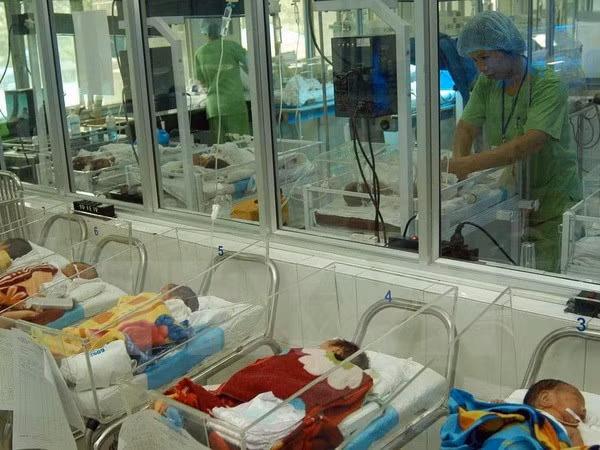 El 99,9 por ciento de las embarazadas en Hanoi reciben atención prenatal ảnh 1 El 99,9 por ciento de las embarazadas en Hanoi reciben atención prenatal ảnh 1