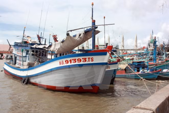 Nueva fábrica de construcción de barcos en provincia de Vietnam ảnh 1 Nueva fábrica de construcción de barcos en provincia de Vietnam ảnh 1