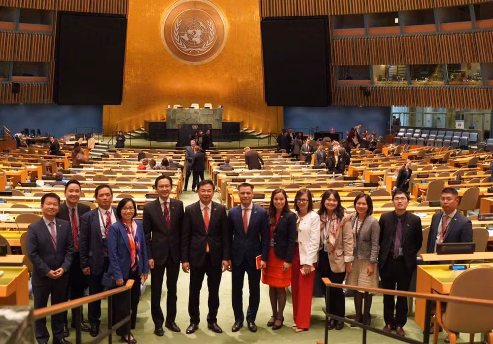Vietnam, un miembro activo de las Naciones Unidas, afirma coordinadora de ONU ảnh 3
