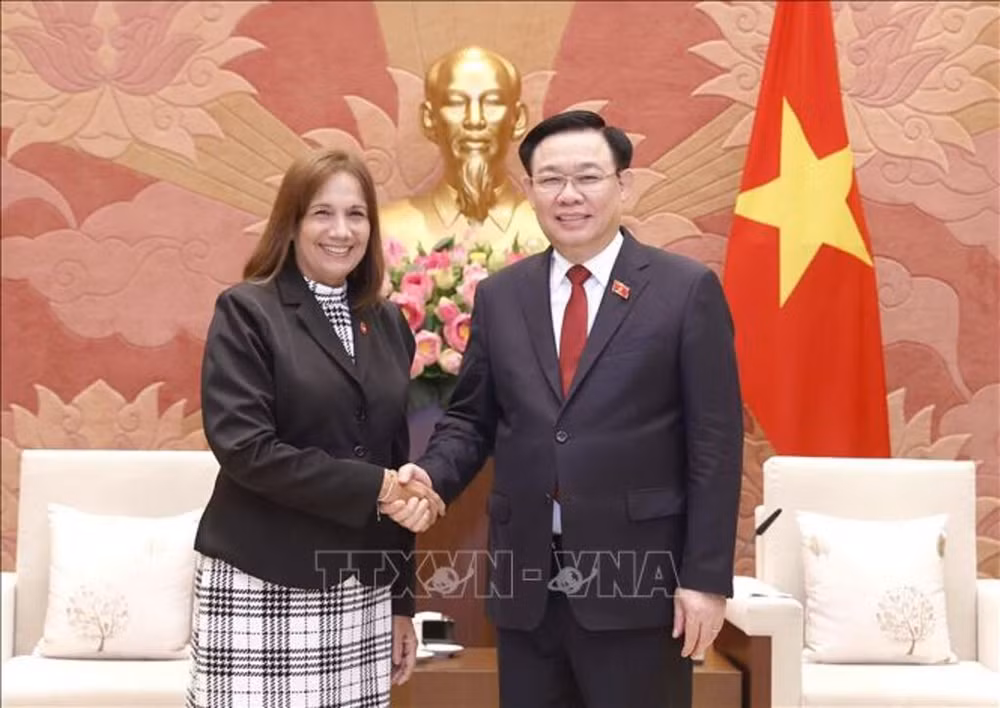 Vietnam-Cuba: Amistad especial cultiva el futuro ảnh 1