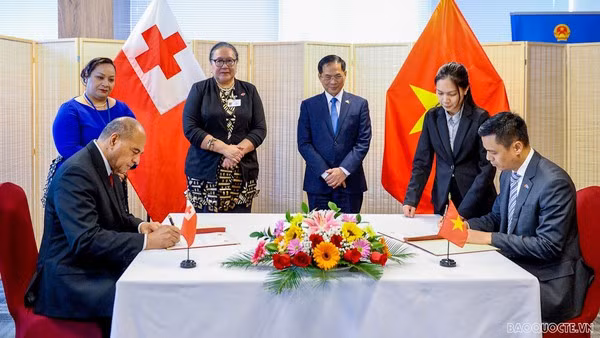 Vietnam y Tonga establecen relaciones diplomáticas ảnh 1