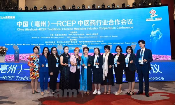 Vietnam participa en Conferencia de Medicina Tradicional ASEAN-China 2023 ảnh 1