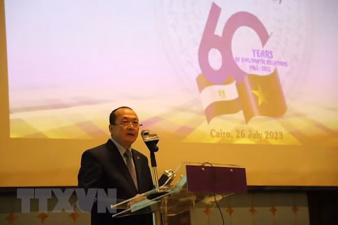 Destacan relaciones tradicionales de amistad Vietnam-Egipto ảnh 1