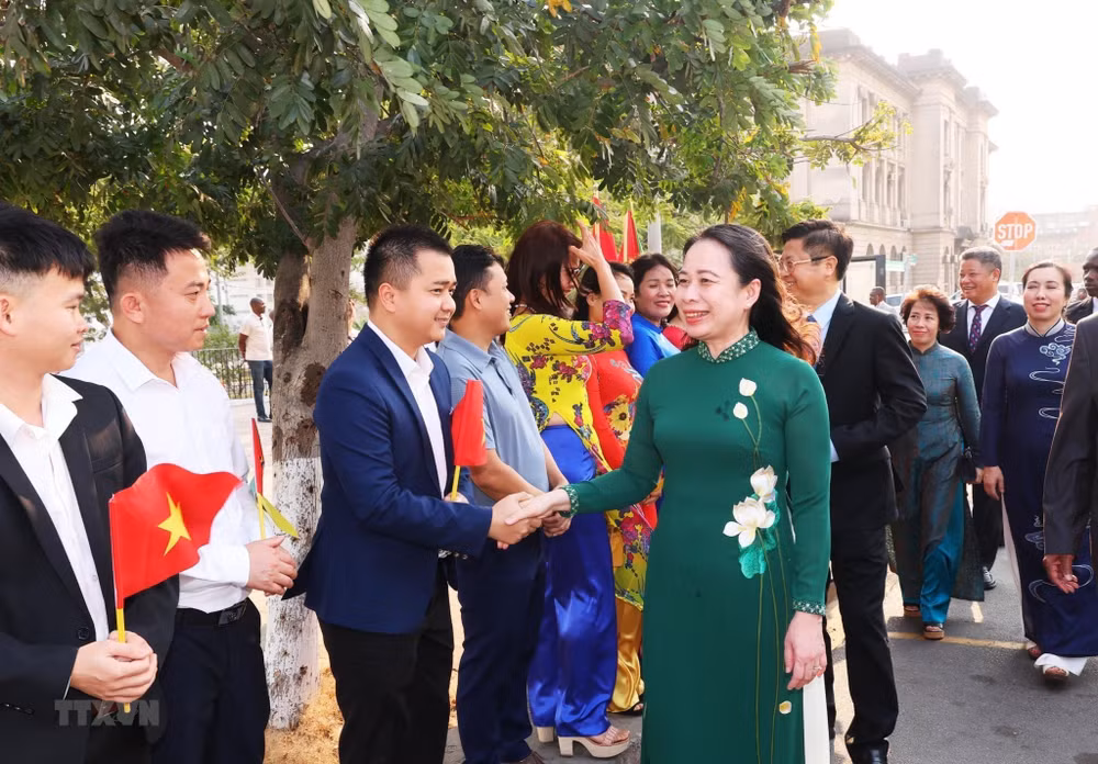 Vietnam alcanza nuevo hito en relaciones bilaterales con Mozambique y Sudáfrica ảnh 2