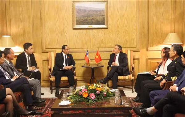 Vietnam y Chile buscan fortalecer amistad y cooperación ảnh 1 Vietnam y Chile buscan fortalecer amistad y cooperación ảnh 1
