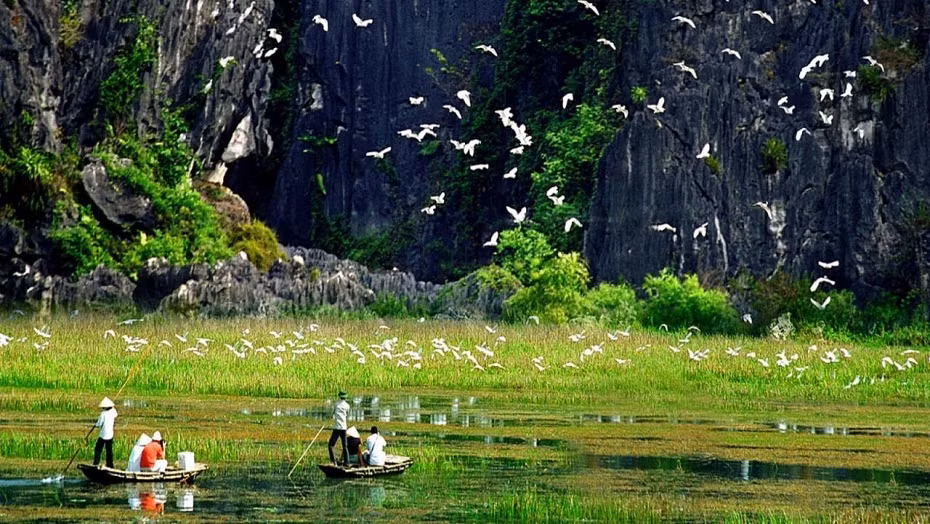 Vietnam desarrolla ecoturismo asociado a la conservación de biodiversidad ảnh 2