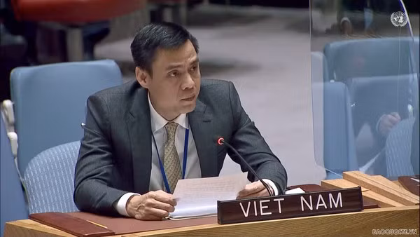 Aprecia comunidad internacional política exterior y posición de Vietnam ảnh 1