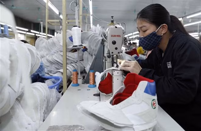 Vietnam juega un papel importante en cadenas de suministro de Adidas y Nike ảnh 2