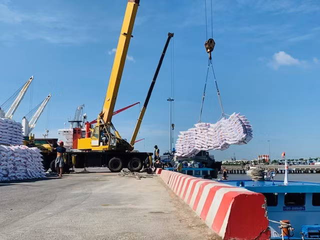 Importaciones de fertilizantes de Vietnam alcanzan en agosto el máximo de dos años ảnh 1 Importaciones de fertilizantes de Vietnam alcanzan en agosto el máximo de dos años ảnh 1