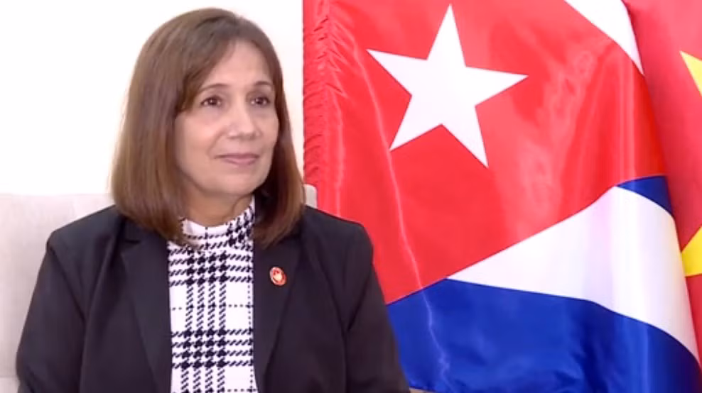 Dirigente cubana elogia actualidad del tema de IX Conferencia Global de Jóvenes Parlamentarios ảnh 1