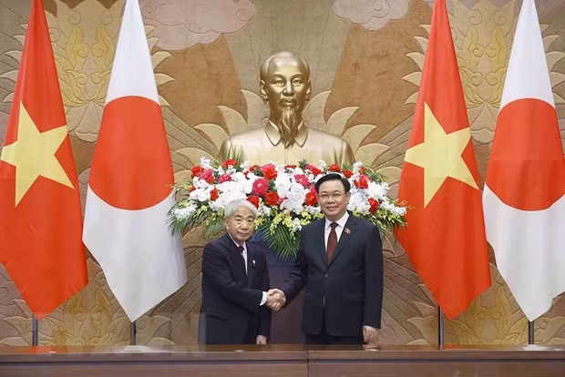 Nexos Vietnam-Japón avanzan en todos los campos ảnh 2