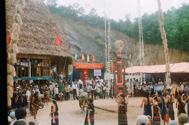 Provincia de Quang Nam promueve el turismo sostenible ảnh 1 Provincia de Quang Nam promueve el turismo sostenible ảnh 1