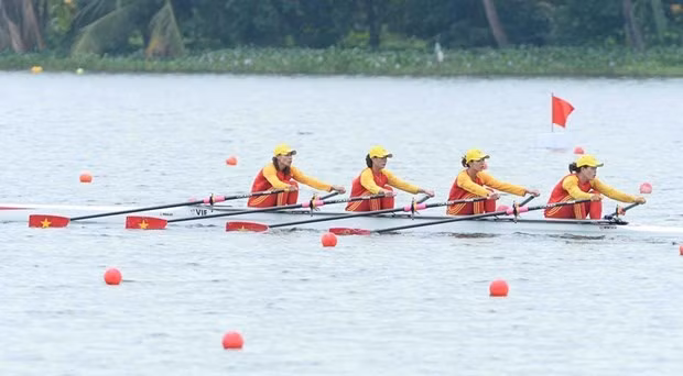 Atletas de remo vietnamitas consiguen plazas para la final en ASIAD 19 ảnh 1