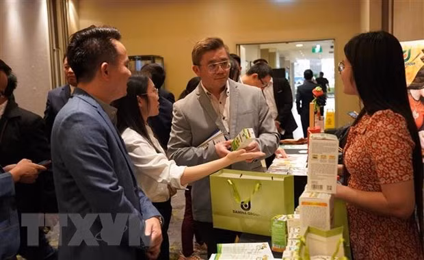 Provincia vietnamita busca asociación de comercio con empresas australianas ảnh 1 Provincia vietnamita busca asociación de comercio con empresas australianas ảnh 1