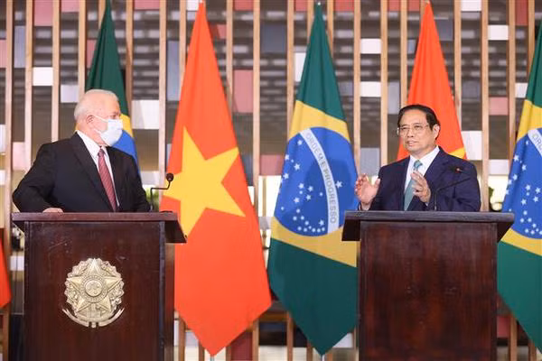 Vietnam y Brasil fomentan amistad tradicional y cooperación ảnh 3