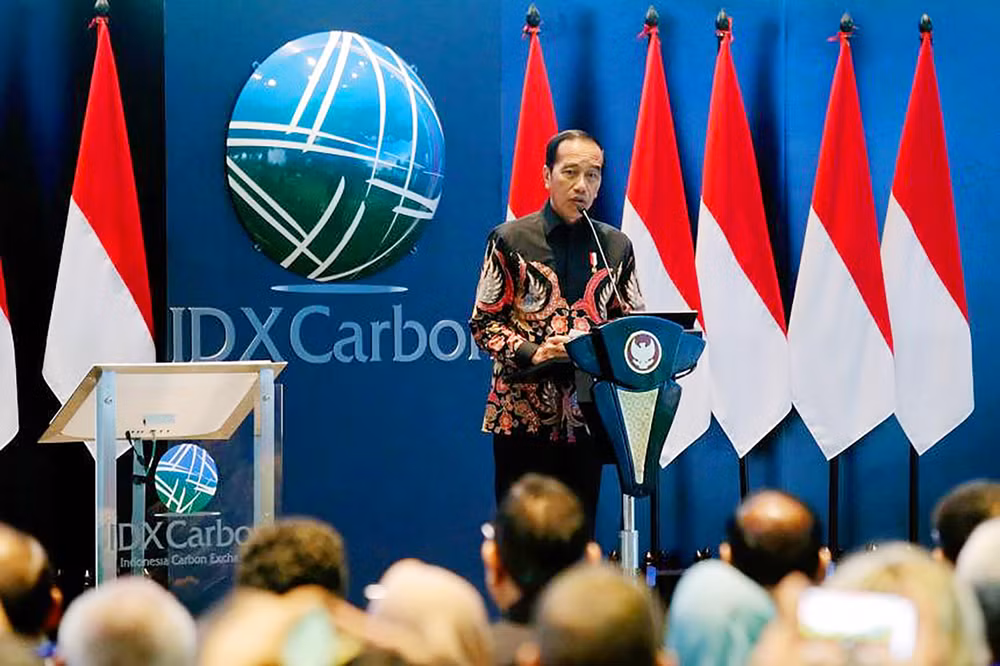 Indonesia lanza la primera bolsa de carbono ảnh 1 Indonesia lanza la primera bolsa de carbono ảnh 1