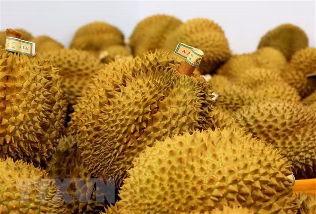 Ventas de frutas y verduras aporta a Vietnam cinco mil millones de USD ảnh 1