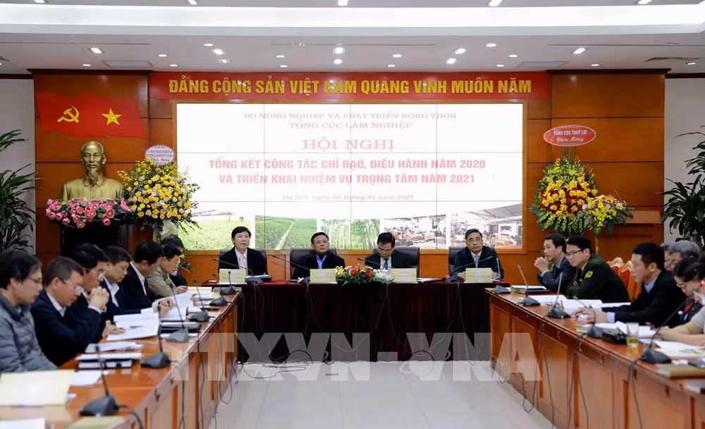 Exhortan en Vietnam fortalecer la protección forestal ảnh 1