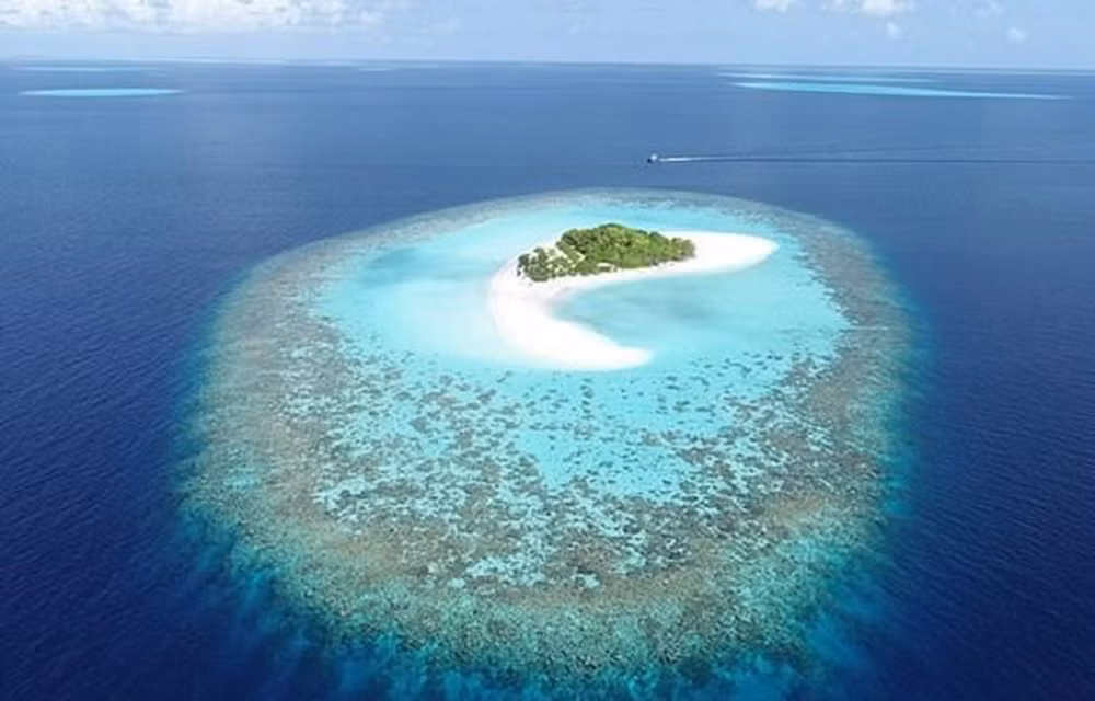 Buscan satisfacer la demanda de viaje en medio de la pandemia de COVID-19 ảnh 1
