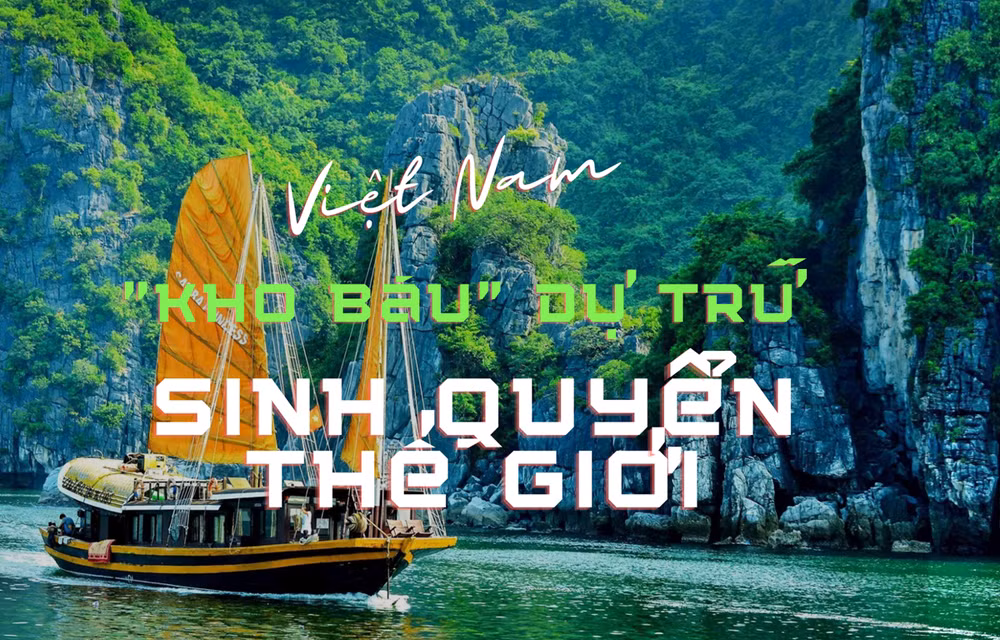 Vietnam cuenta con 11 “laboratorios naturales” para el desarrollo sostenible ảnh 1