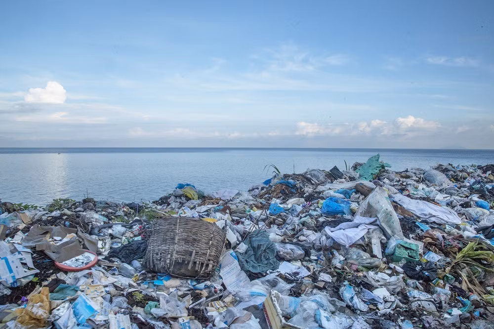 Vietnam trabaja por la reducción de residuos plásticos marinos ảnh 2