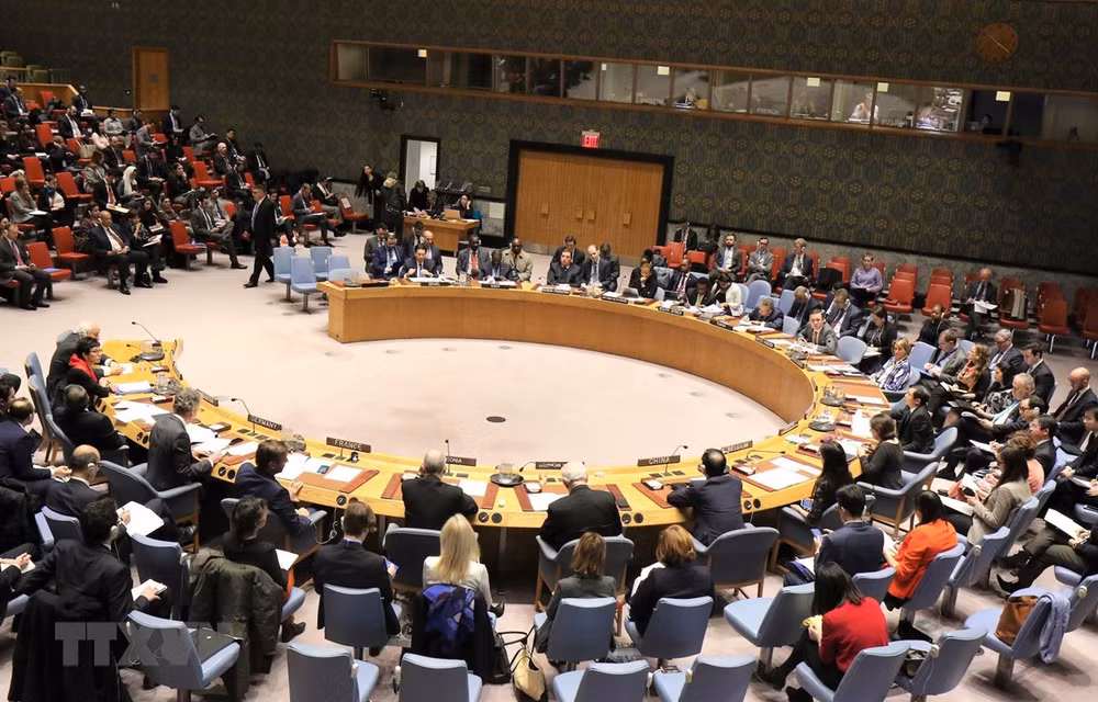 Afirma Vietnam su posición en Consejo de Seguridad de la ONU ảnh 1