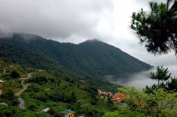 Parque Nacional de Tam Dao, zona de alta biodiversidad ảnh 1