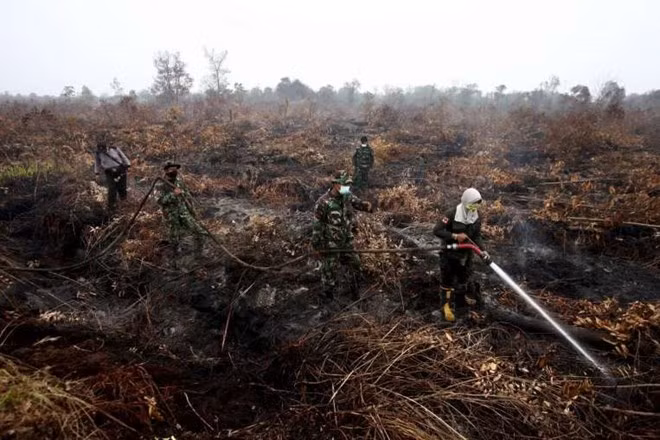 Indonesia moviliza 25 aviones para apagar incendios ảnh 1 Indonesia moviliza 25 aviones para apagar incendios ảnh 1