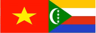  Vietnam y Comoras establecen relaciones diplomáticas ảnh 1