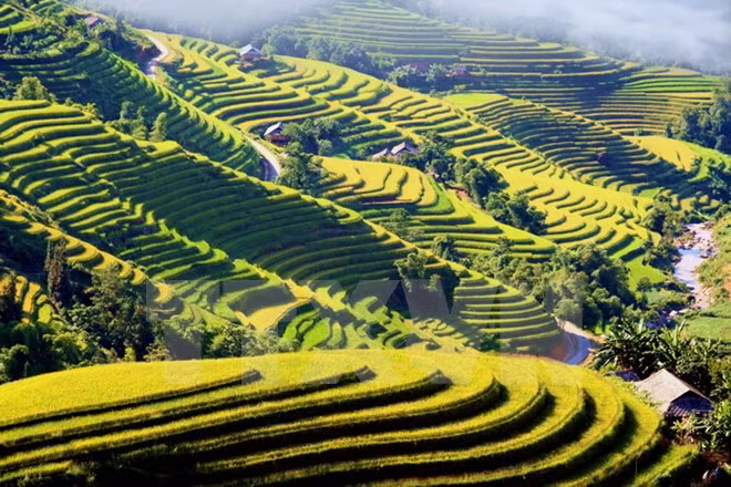Evento cultural honra a pintorescas terrazas de arroz de Hoang Su Phi ảnh 1