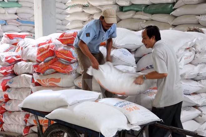 Vietnam busca medidas para construir marca nacional de arroz ảnh 1 Vietnam busca medidas para construir marca nacional de arroz ảnh 1