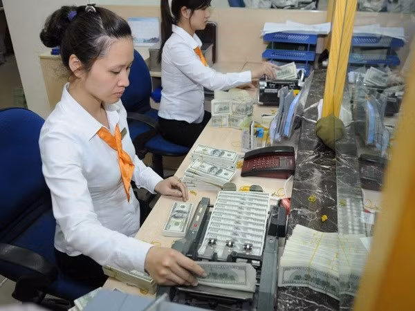 Banco Estatal de Vietnam reajusta tasa de interés pasiva en dólar ảnh 1