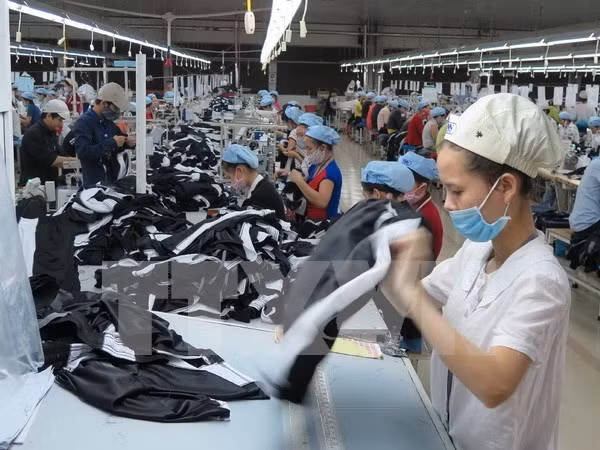 Oportunidades de cooperación entre empresas vietnamitas y rusas ảnh 1