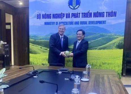 Vietnam por exportar productos agrícolas a Estados Unidos ảnh 3