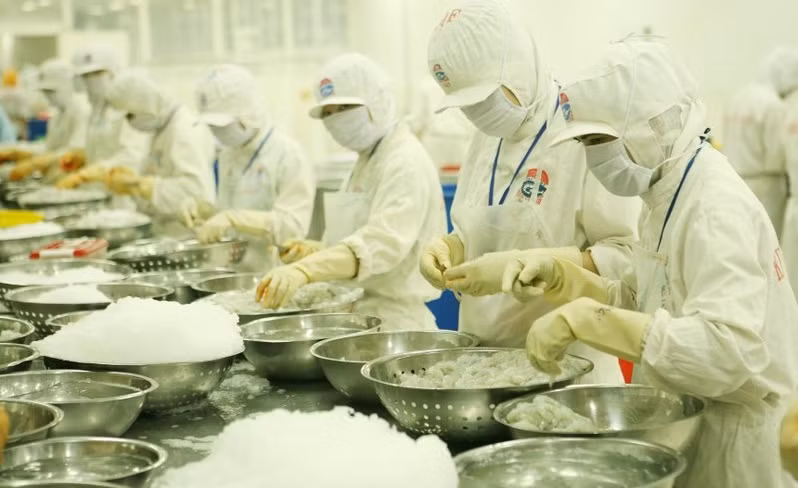 Oportunidades para exportaciones vietnamitas al mercado nórdico ảnh 1 Oportunidades para exportaciones vietnamitas al mercado nórdico ảnh 1