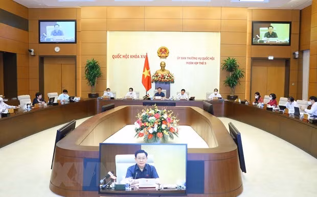 Comité Permanente del Parlamento de Vietnam revisa la aplicación de documentos legales ảnh 1