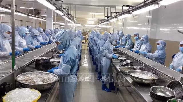 Vietnam reporta superávit comercial de productos agroforestales y pesqueros ảnh 1