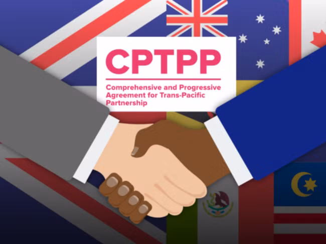 Debaten condiciones para incorporación del Reino Unido al Tratado Transpacífico ảnh 2
