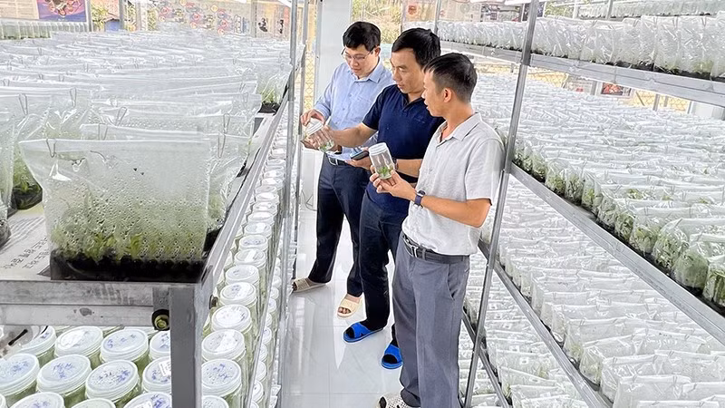 Empresas vietnamitas aceleran transformación digital y verde para lograr avances ảnh 1 Empresas vietnamitas aceleran transformación digital y verde para lograr avances ảnh 1