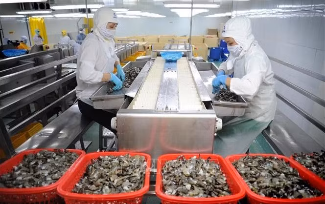 Inversión pública impulsará crecimiento duradero en Vietnam, según organizaciones internacionales ảnh 1