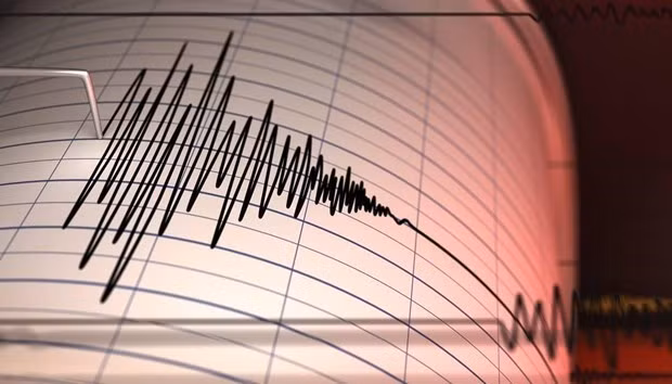 Se registra terremoto de magnitud 6,0 frente a la costa de Indonesia ảnh 1