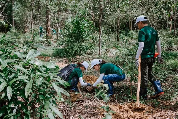 Nestlé promueve agricultura regenerativa y de bajas emisiones en Vietnam ảnh 2