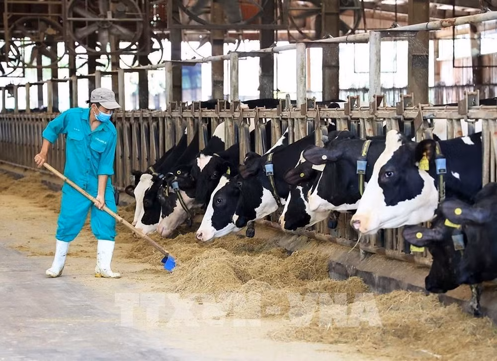 Vinamilk de Vietnam recibe premio en Congreso Mundial de Industria Láctea ảnh 1