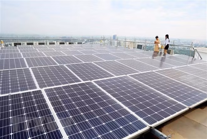 Vietnam prioriza la transición verde para el desarrollo sostenible ảnh 1