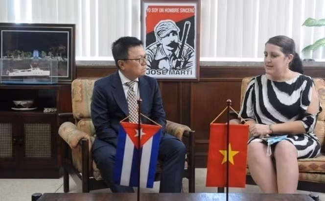 Diarios de Partidos vietnamita y cubano fomentan cooperación ảnh 1